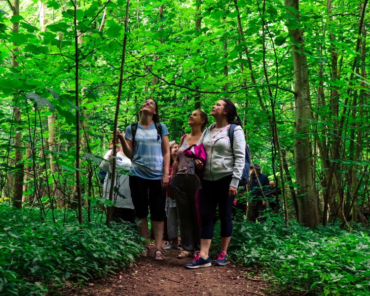 Forest bathing team building event vistibrighton