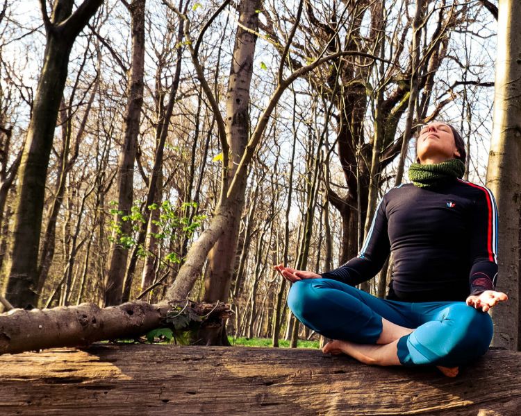 Forest bathing near brighton