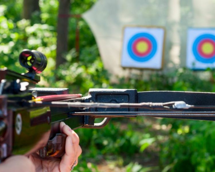 Crossbow experience