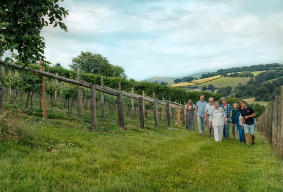 group of people on a tour of a vineyard in devon