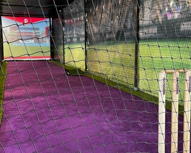 Cricket experience