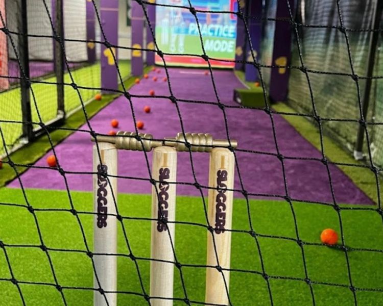 Cricket wickets