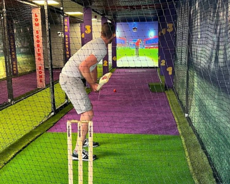 Virtual cricket