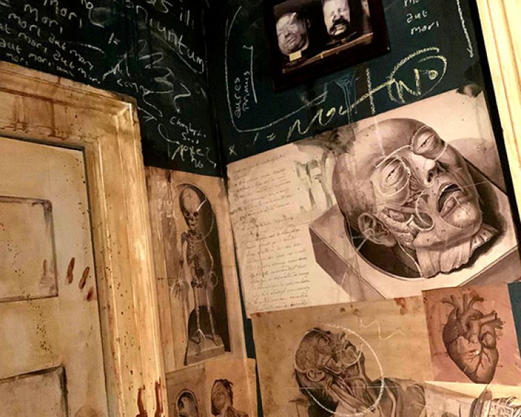 anatomical drawings in the escape room at the house of frankenstein