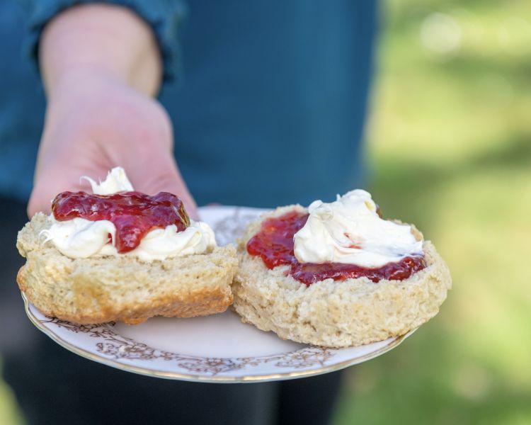two scones with jam and cream on a plate included in a glamping stay in dorset