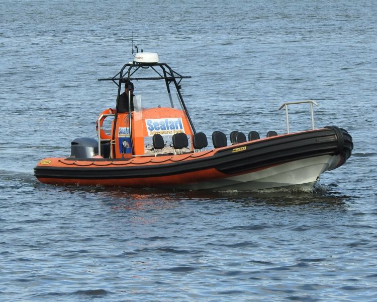 the high speed boat in the water used for high speed boat trips from south queensferry in scotland