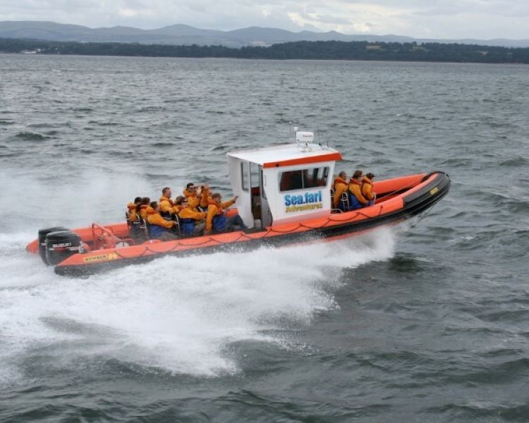 passengers on a south queensferry boat trip with seafari adventures