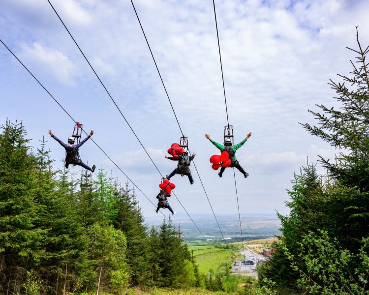 four people going down the zip lines at zip world phoenix