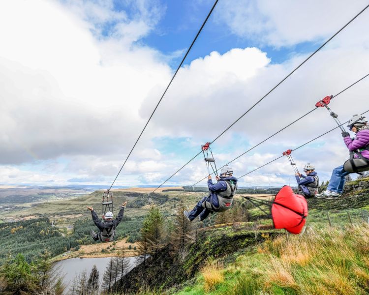 four people going down the zip lines at zip world phoenix looking out over woodland and a lake