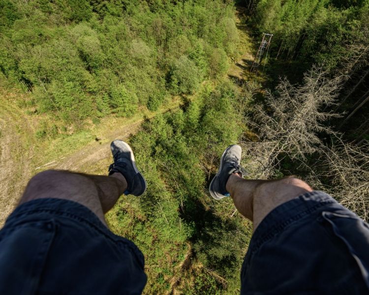 view looking down at the trees below while on the zip line at zip world phoenix