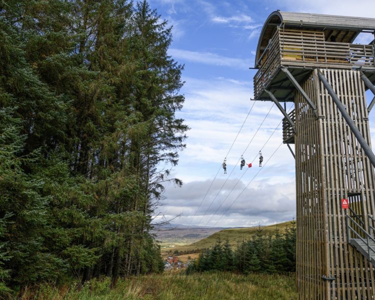 view from the ground looking up at people going down the zip lines at zip world phoenix looking out over woodland