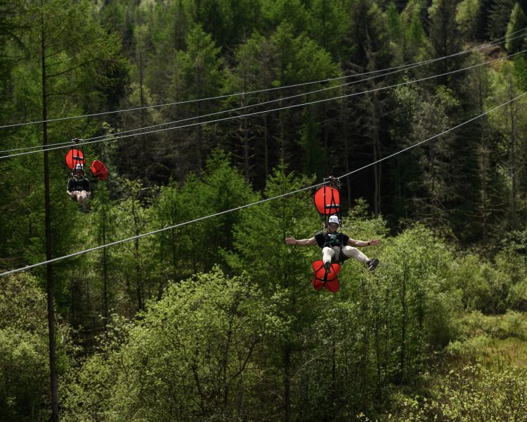 two people going down the zip lines at zip world phoenix looking out over woodland