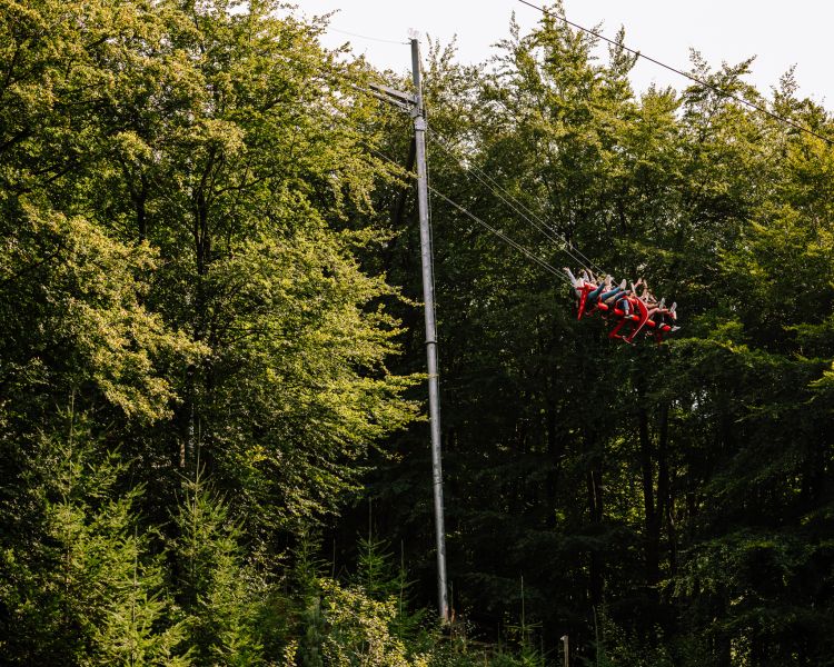 people on the zip world skyride in wales surrounded by woodland