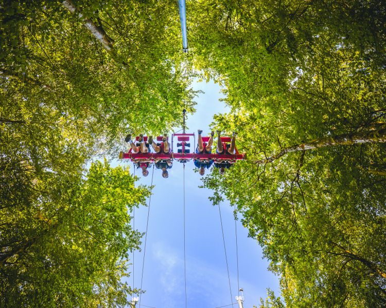 view looking up through the trees at people on the zip world skyride in wales
