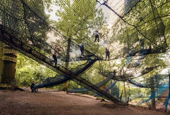 a view looking up at the zip world treetop nets