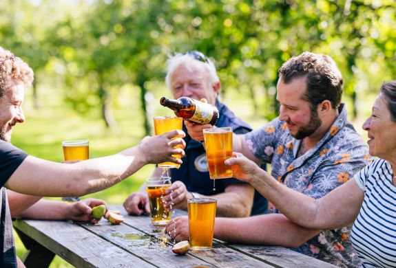 Dorset Nectar cider experience