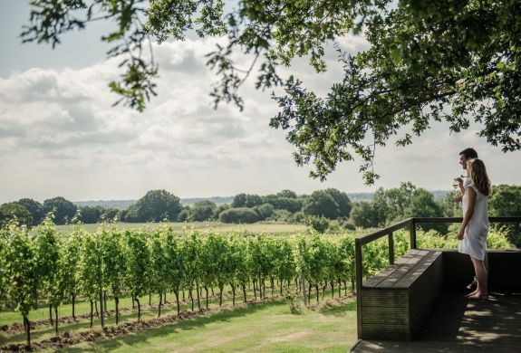 man and woman overlooking a vineyard in summer sunshine on a tour of gusbourne estate