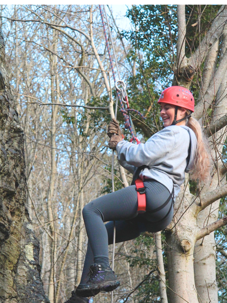 woman hanging in the trees on an abseiling experience in wales