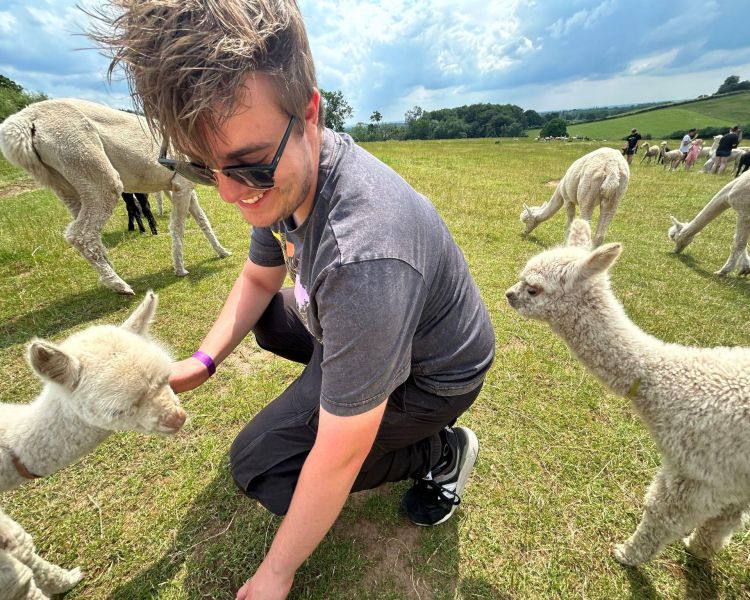 young man in a field with baby alpacas on a cria watch experience