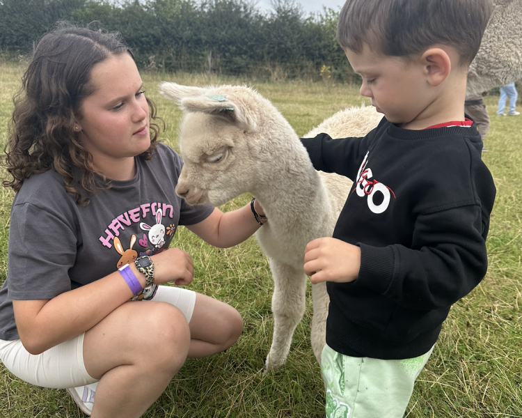 children stroking a baby alpaca on a cria watch experience