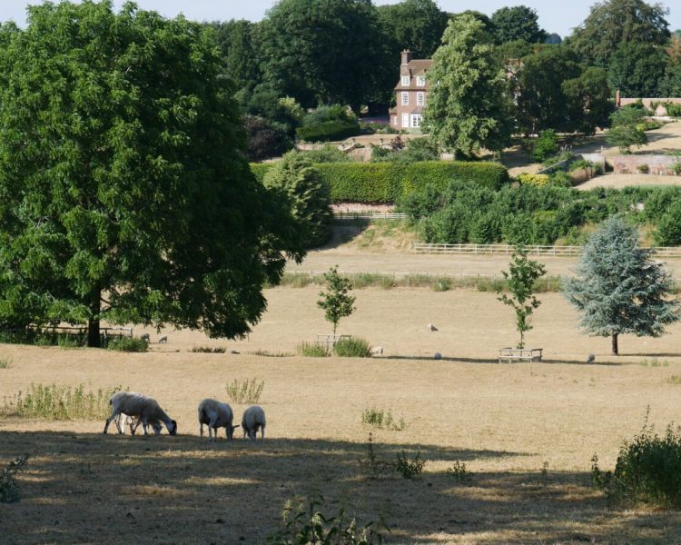 Countryside view seen on a midsomer murders coach tour