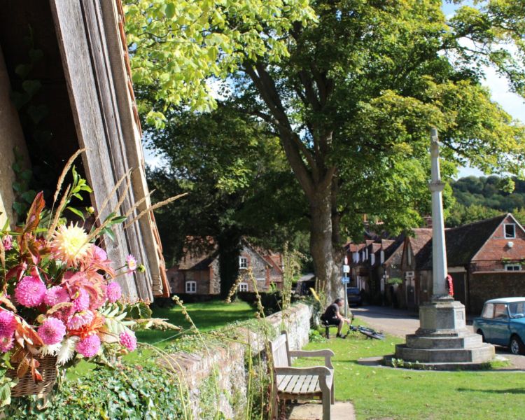Village green in hambledon seen on a midsomer murders coach tour