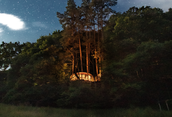 a treehouse in the woods in wales glowing bright at night