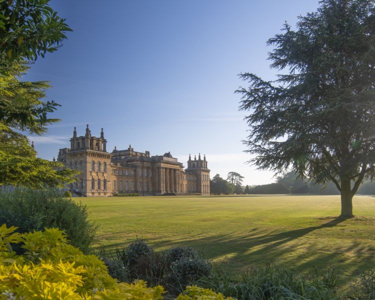 Blenheim palace exterior in summer