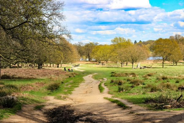 Richmond park london