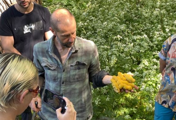 Guide showing the group fungi on a foraging experience