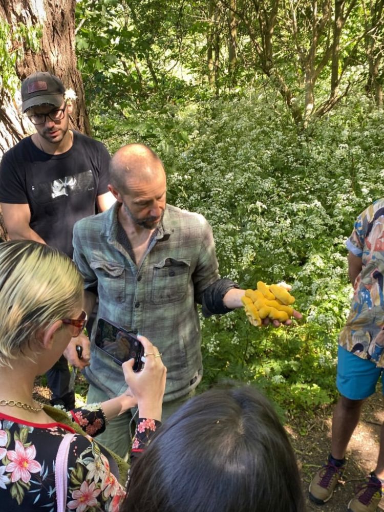 Guide showing the group fungi on a foraging experience