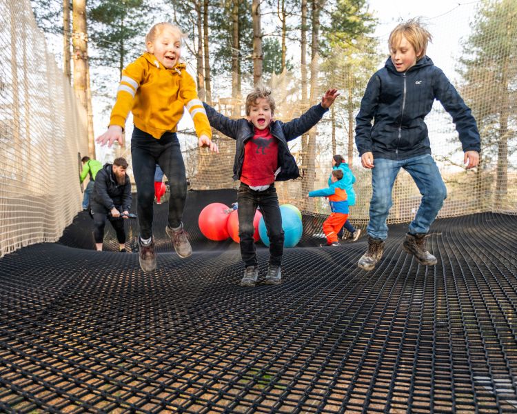 kids bouncing on nets adventure at go ape