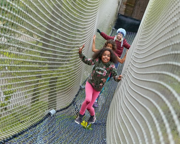kids walking through net tunnel at go ape nets adventure