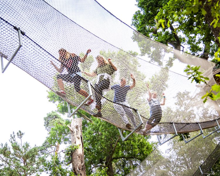 family walking along net bridge at go ape nets adventure