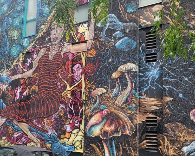 wall murals seen on the taste of diversity tour exploring london's street art and food