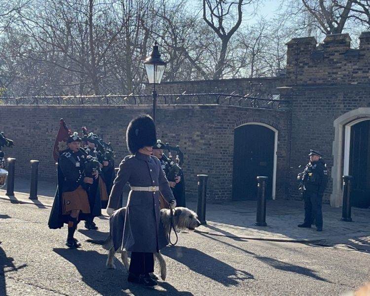 royal family and changing of the guard walking tour in london
