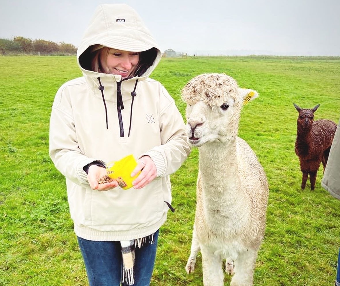 alpaca-meet-and-greet
