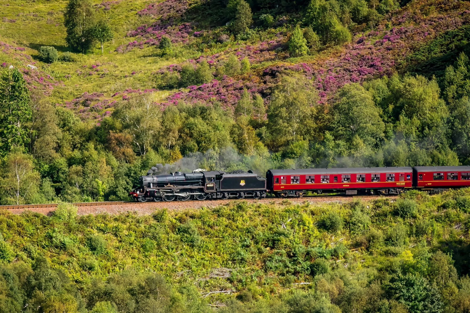 ride a steam train