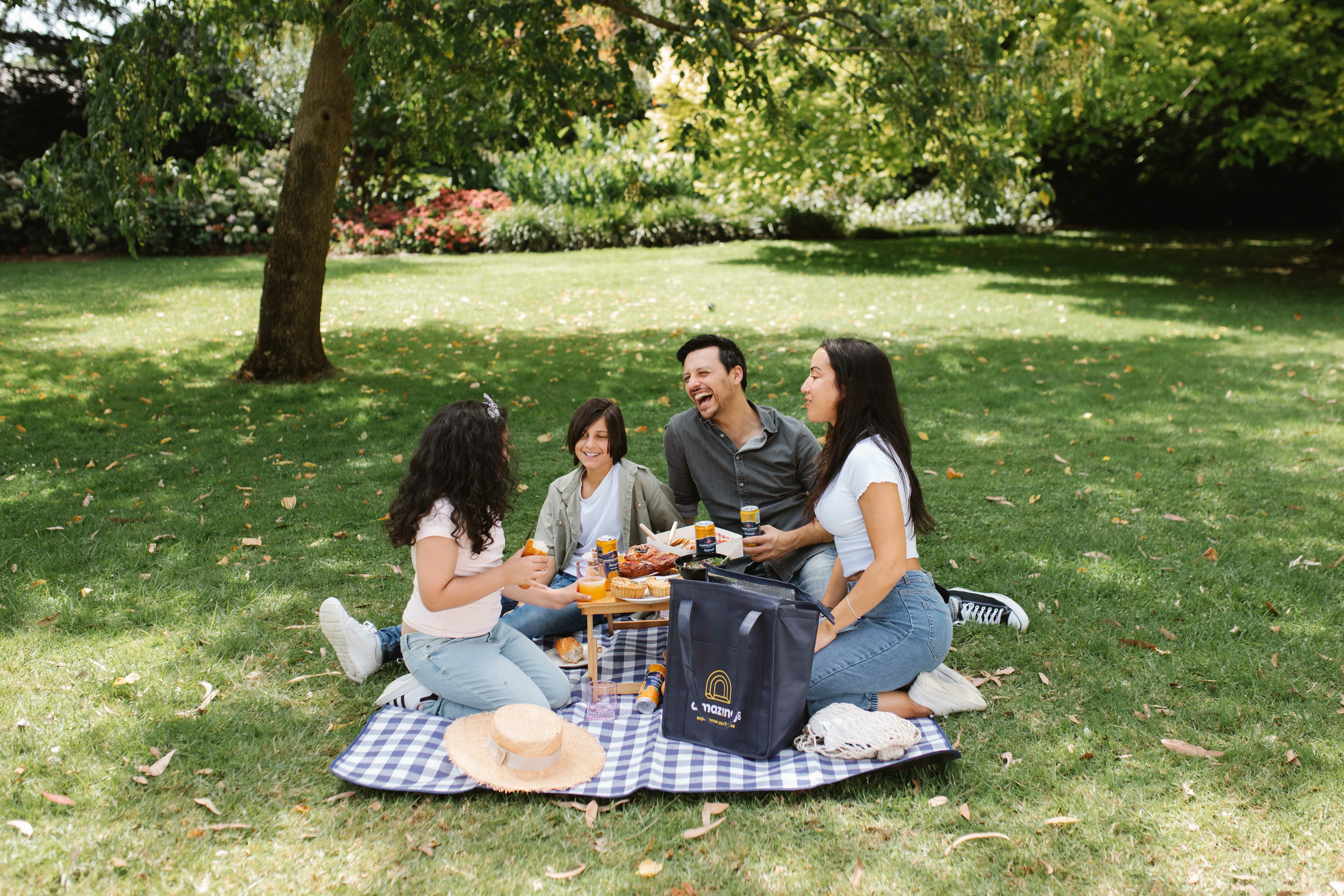 mystery picnic day out