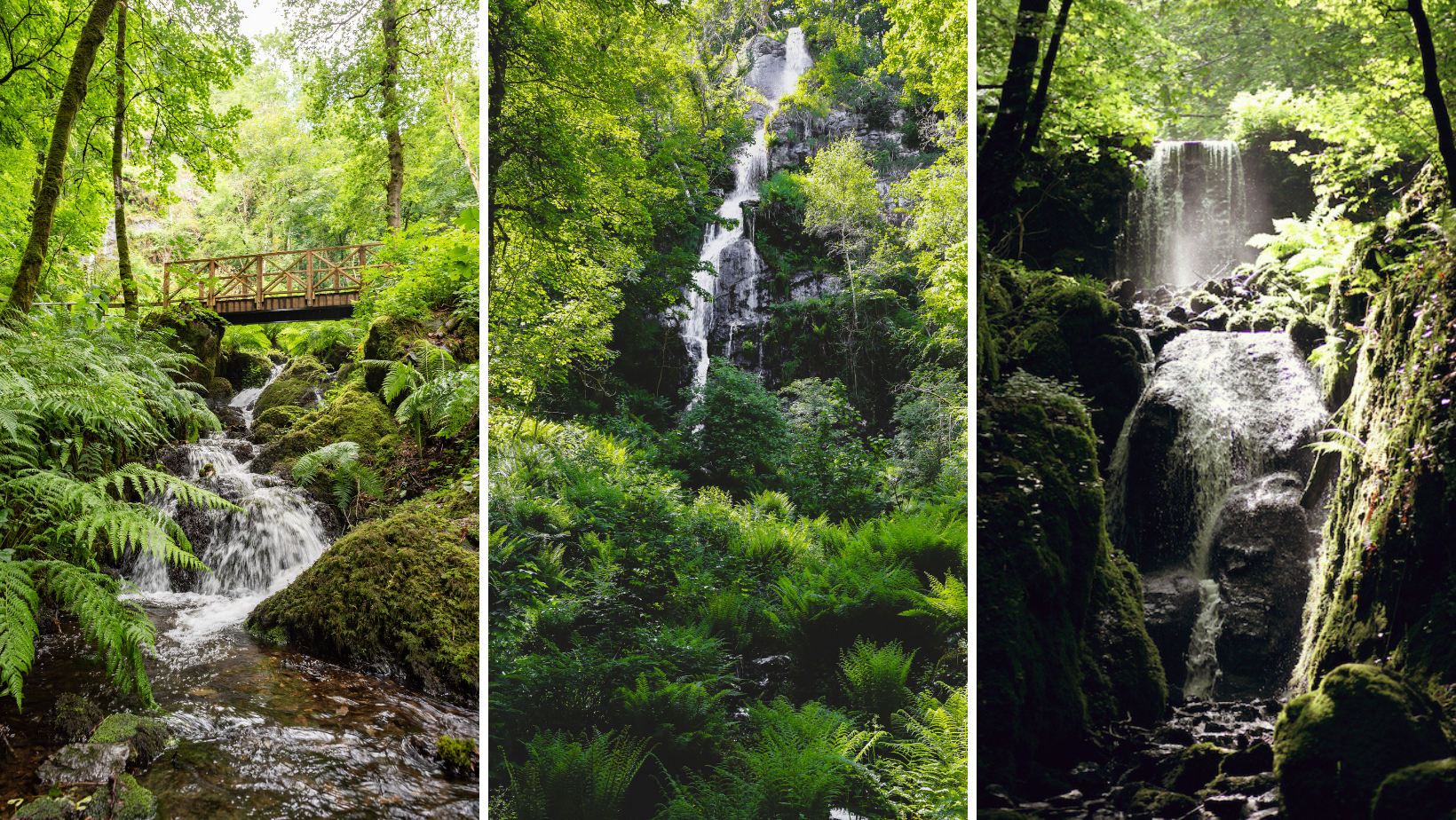 Canonteign Fall Waterfalls