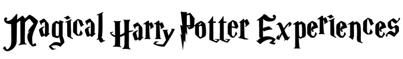Harry Potter experiences