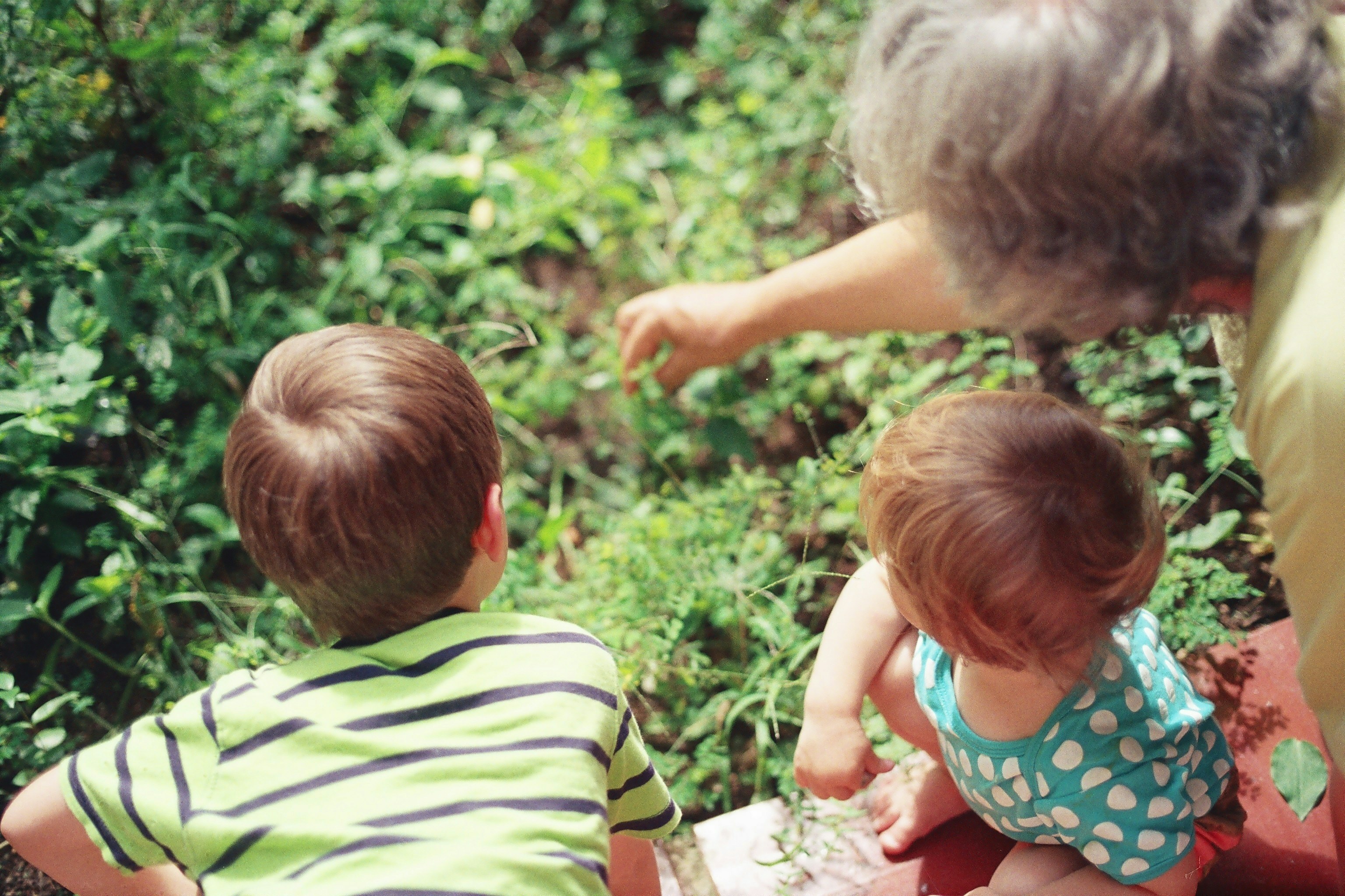 Grandparents