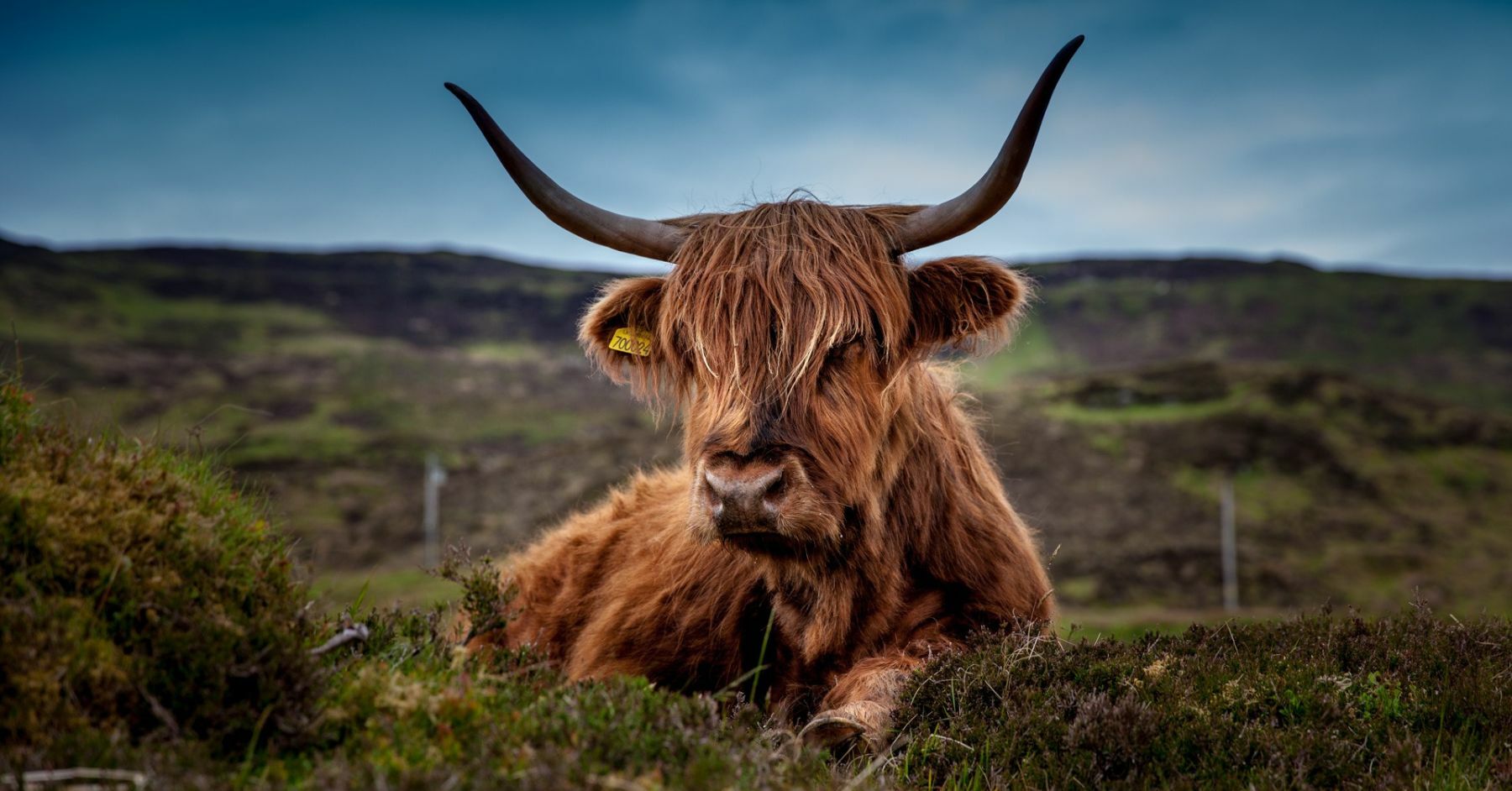 Scotland