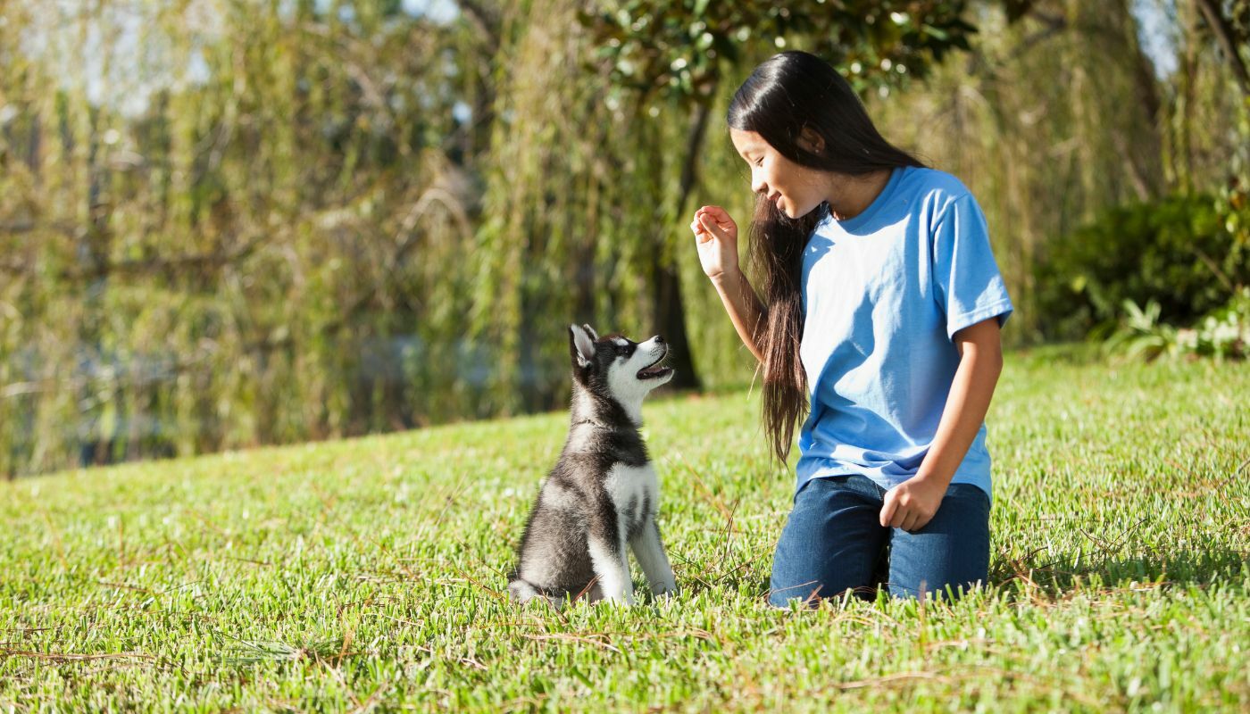 Young girl with puppy